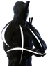Arbiters Endurance Emote