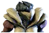 Arcane Hemlock Helmet