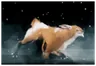 Huras Kubrow Imprint
