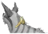 Kavasa Prime Band