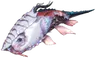 Mortus Lungfish