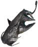 Murkray