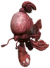 Norg