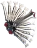 Vericres