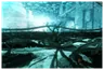 Zariman Serenity Levels Scene