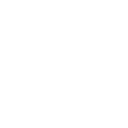 Shadows Of The Dead