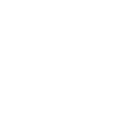 Iron Skin
